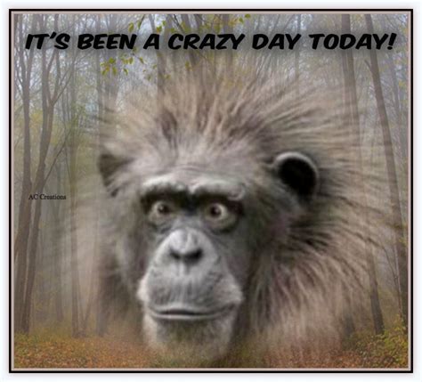 crazy day memes